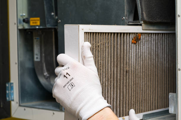 Best HVAC System Cleaning  in Emerald Lake Hills, CA