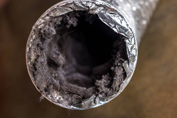 Best Air Duct Cleaning Near Me  in Emerald Lake Hills, CA
